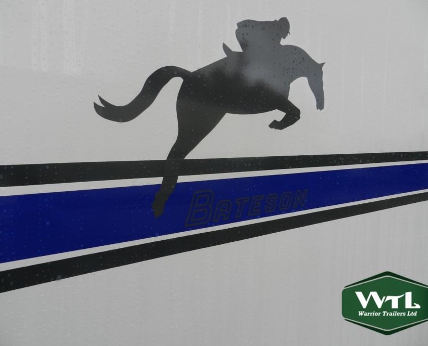 Horse-Stripes-010
